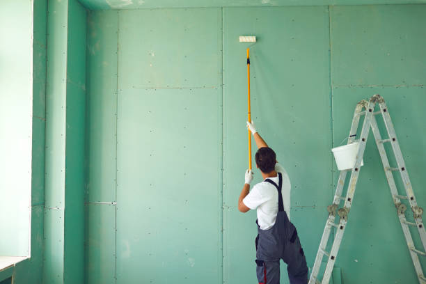 Best Asbestos and Lead Testing During Mold Inspection  in Harrisburg, IL