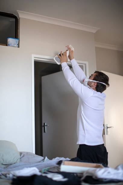 Best Mold Prevention Services  in Harrisburg, IL