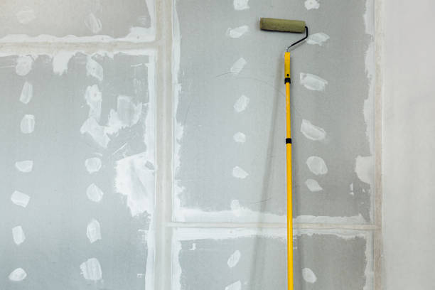 Best Asbestos and Lead Testing During Mold Inspection  in Harrisburg, IL