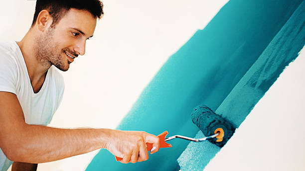 Best Mold Documentation for Insurance Claims  in Harrisburg, IL