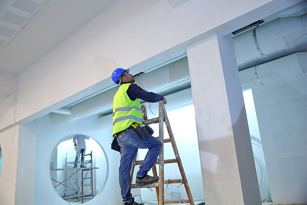 Best HVAC Mold Inspection and Cleaning  in Harrisburg, IL